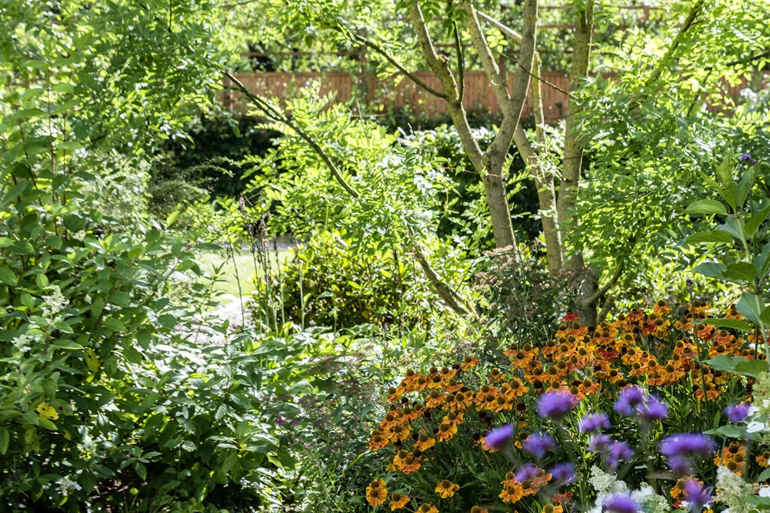 Naturnaher Garten fördert die Artenvielfalt