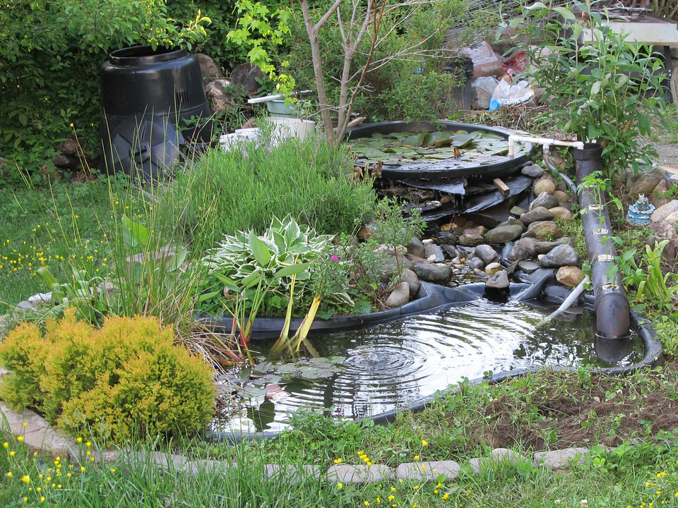 Wasserstelle im artenreichen Garten 