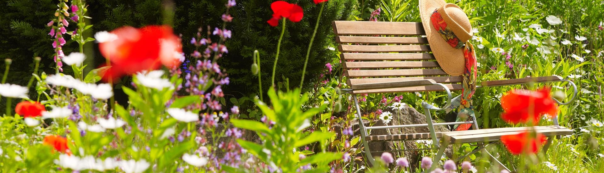 Sitzplatz in einer Blumenwiese