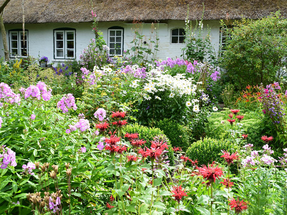 Bauerngarten mit einer Vielfalt an Stauden