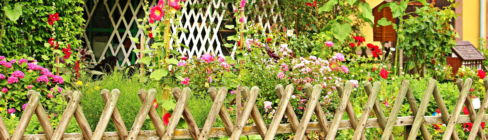 Bauerngarten mit Holzzaun und bunten Stauden