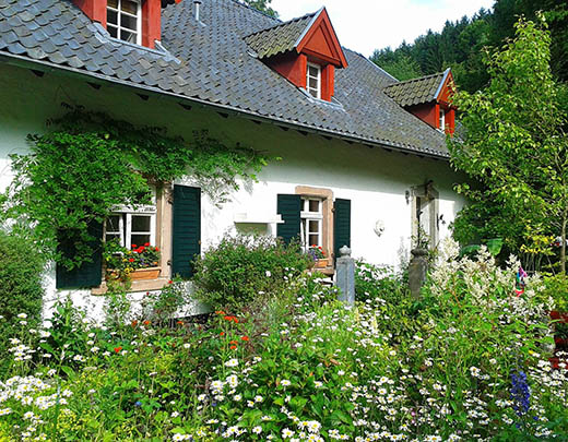 Naturnaher Bauerngarten im Vorgarten 