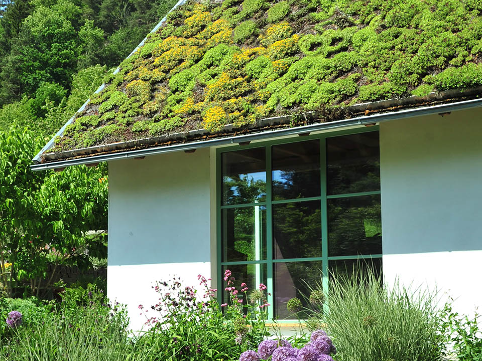 Grüner Dachgarten mit Terrasse