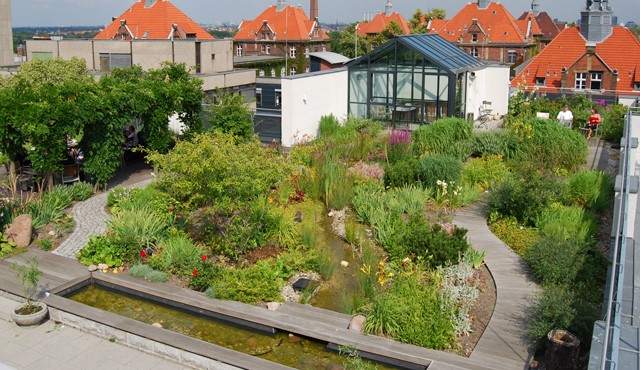 Ein Dachgarten kann die Gartenfläche erweitern