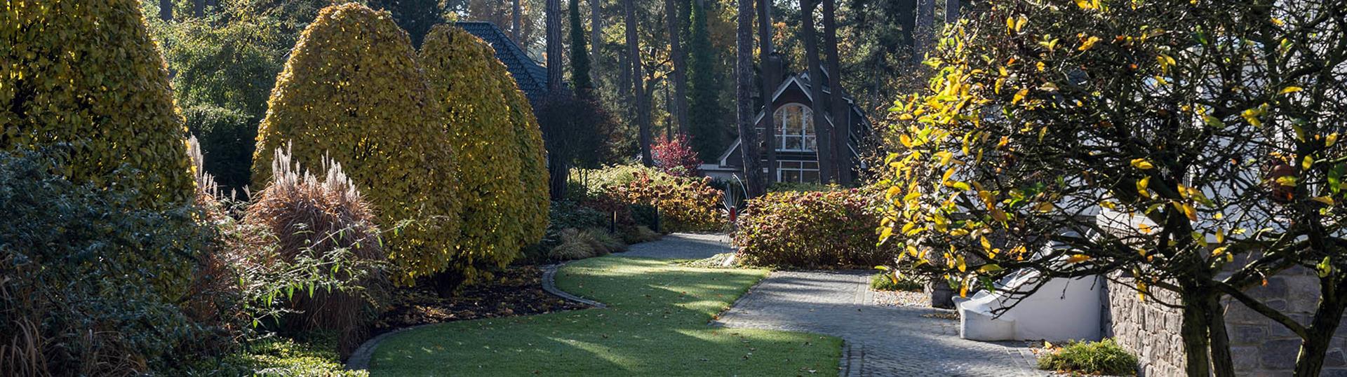 Garten mit in Form geschnittenen Bäumen 