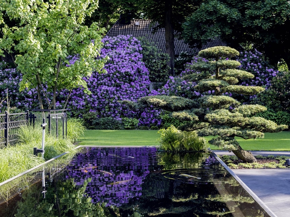 Asiatischer Garten mit einem Teich 