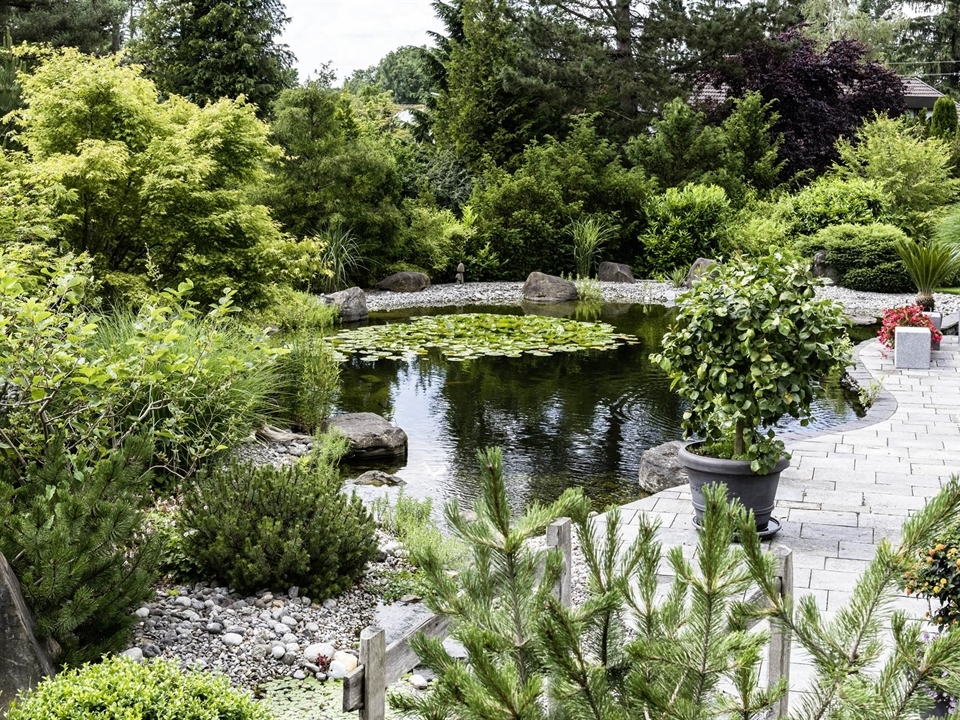 Gartenteich mit Steinweg und Wasserpflanzen