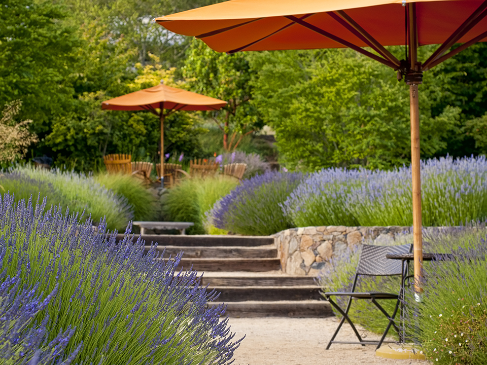 Hanggarten mit Treppen, Natursteinmauern und Sitzplätzen