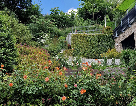 Hanggarten mit vielen Stauden und Gräsern