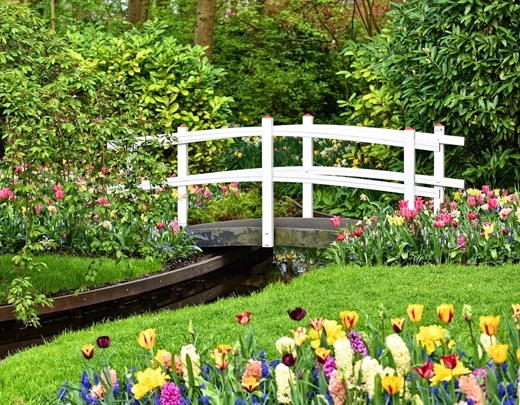 Tulpenmischung mit Rasen gemischt