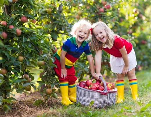 Kinder mit einem Apfelkorb im Garten