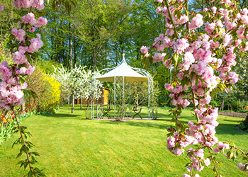 Pavillion, hängende Rosen... So entsteht ein romantischer Garten