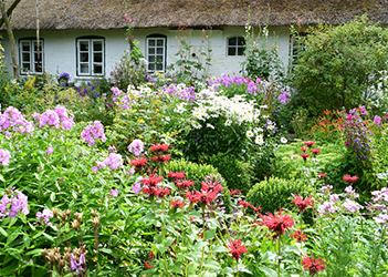 Der Bauerngarten präsentiert sich mit einer Blütenfülle