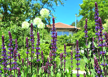 Welcher Gartentyp passt zu Ihnen?