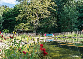 Ein in einem Naturgarten angelegter Schwimmteich