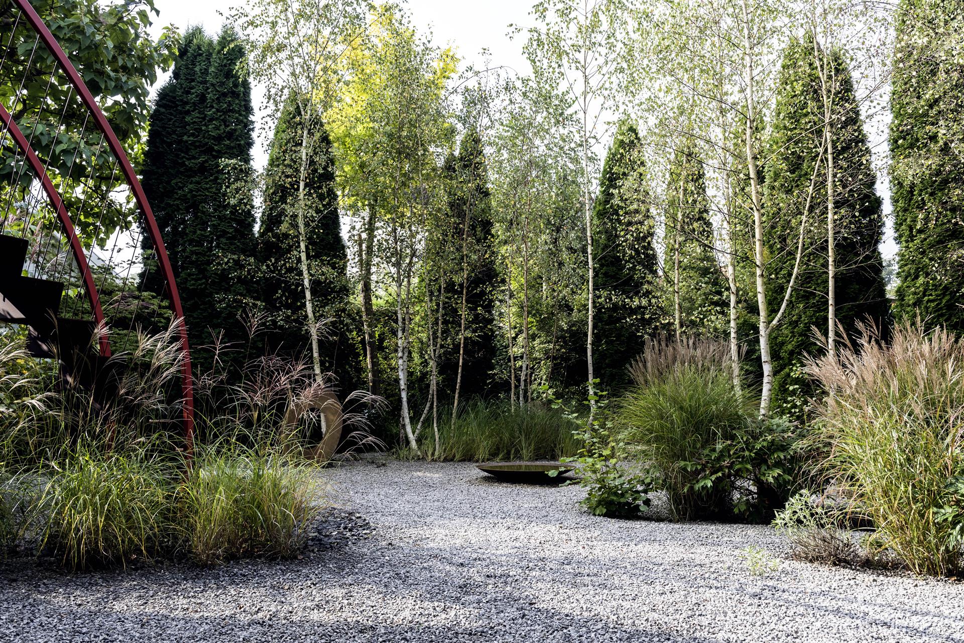 Nadelbäume bieten im Garten Struktur_ Luckner_350-250