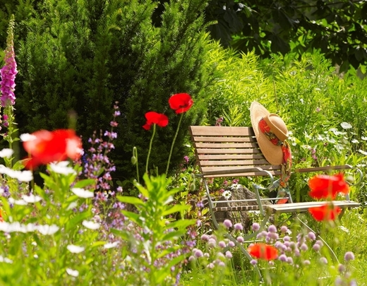 Sitzplatz mitten in einer Blumenwiese 