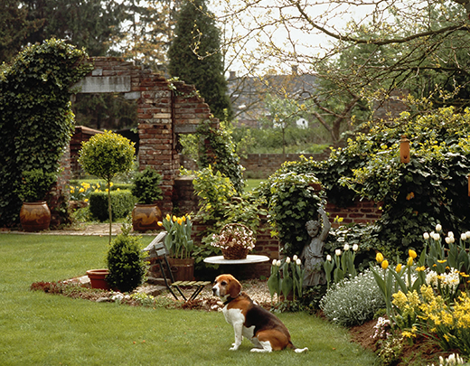 Garten mit Steinelementen, Stauden, Büsche und einem Hund