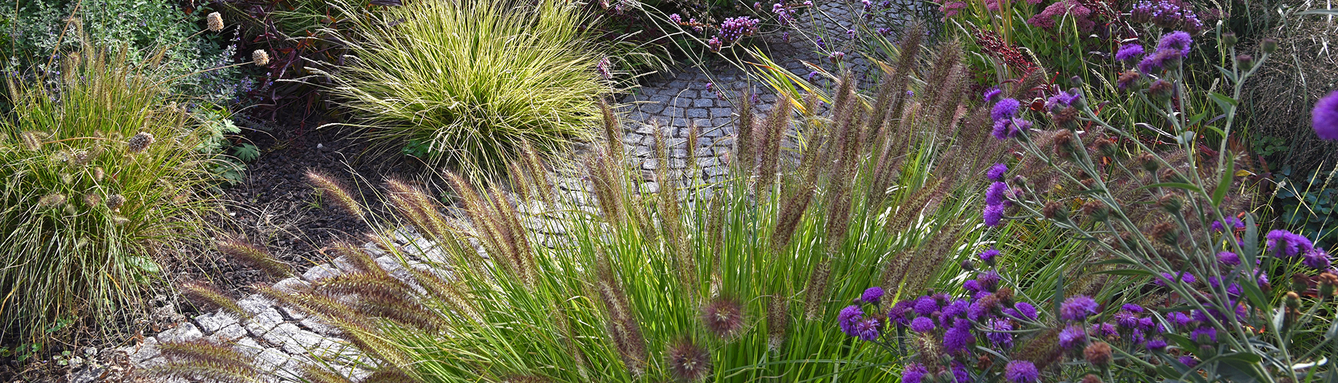 Gartenweg aus Stein und Gräsern mit Stauden kombiniert