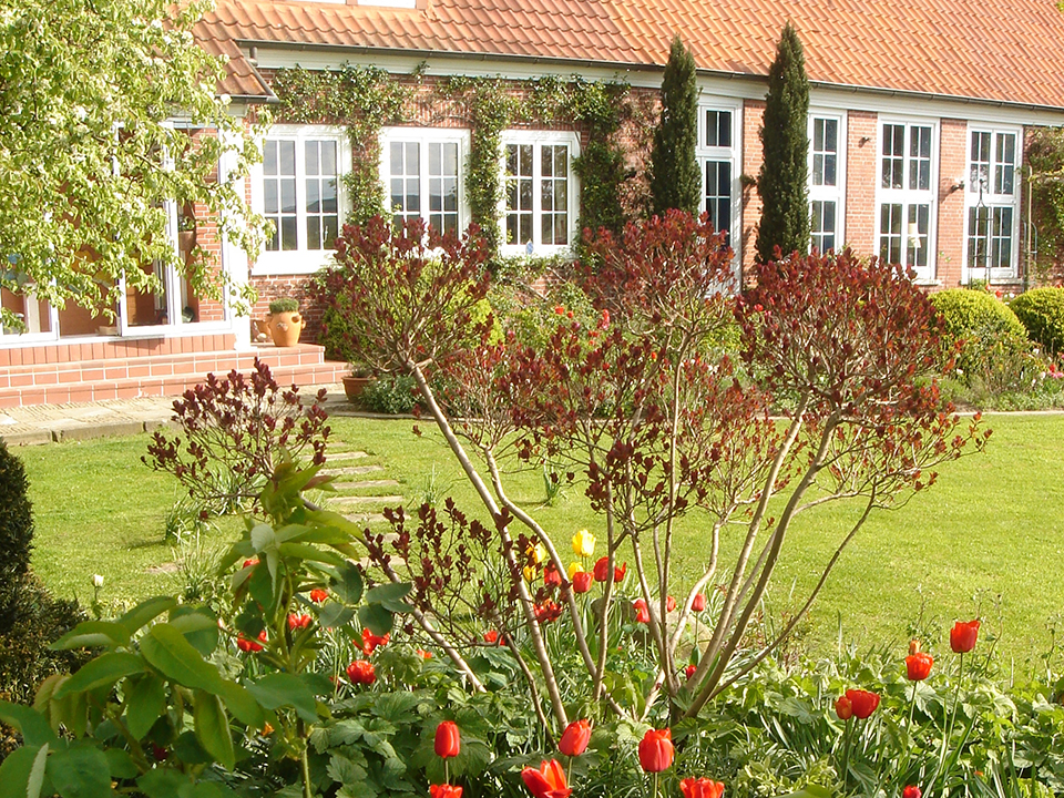Garten mit Tulpen und einem Strauch