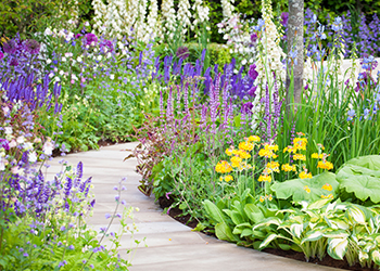 Geschwungener Gartenweg mit bunter Randbepflanzung