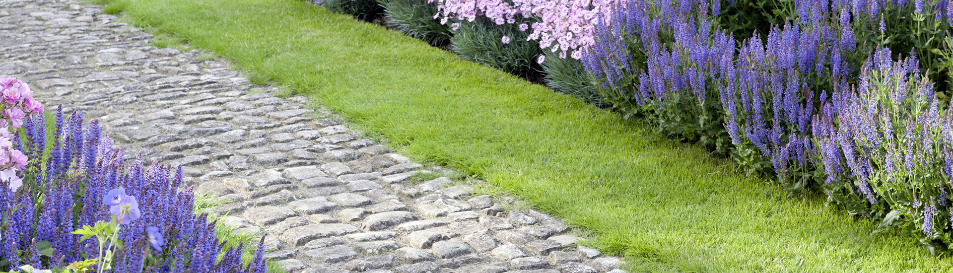 Geradelaufender Gartenweg aus Naturstein und mit Gras und Stauden an den Seiten platziert