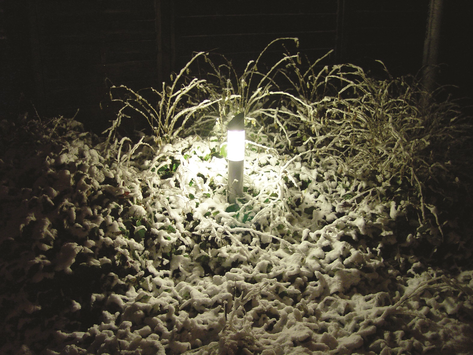 Licht erzeugt Sicherheit im Garten