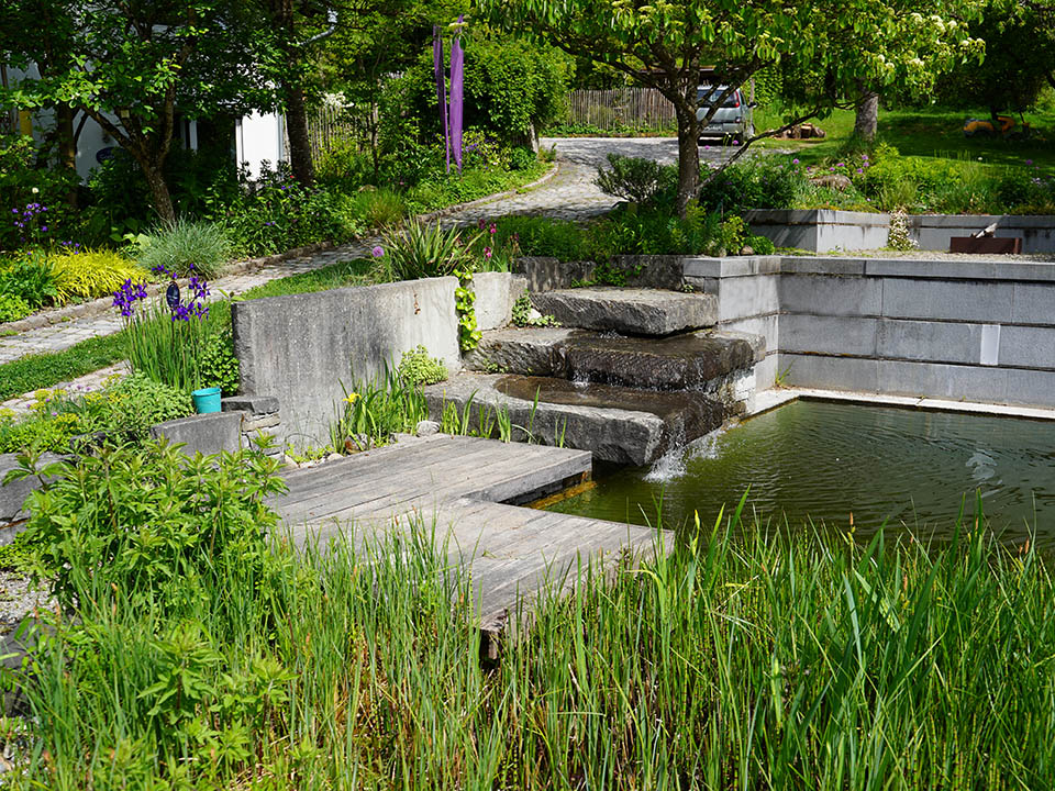 Naturpool in die Natur eingebettet