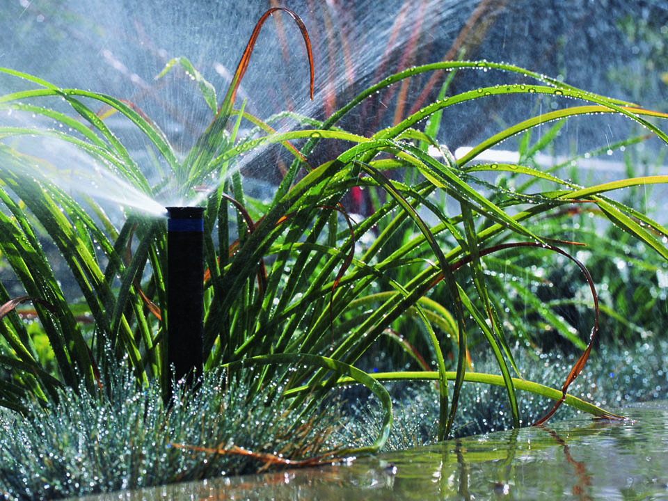 Regenwassermanagement im Garten nachhaltig einsetzen