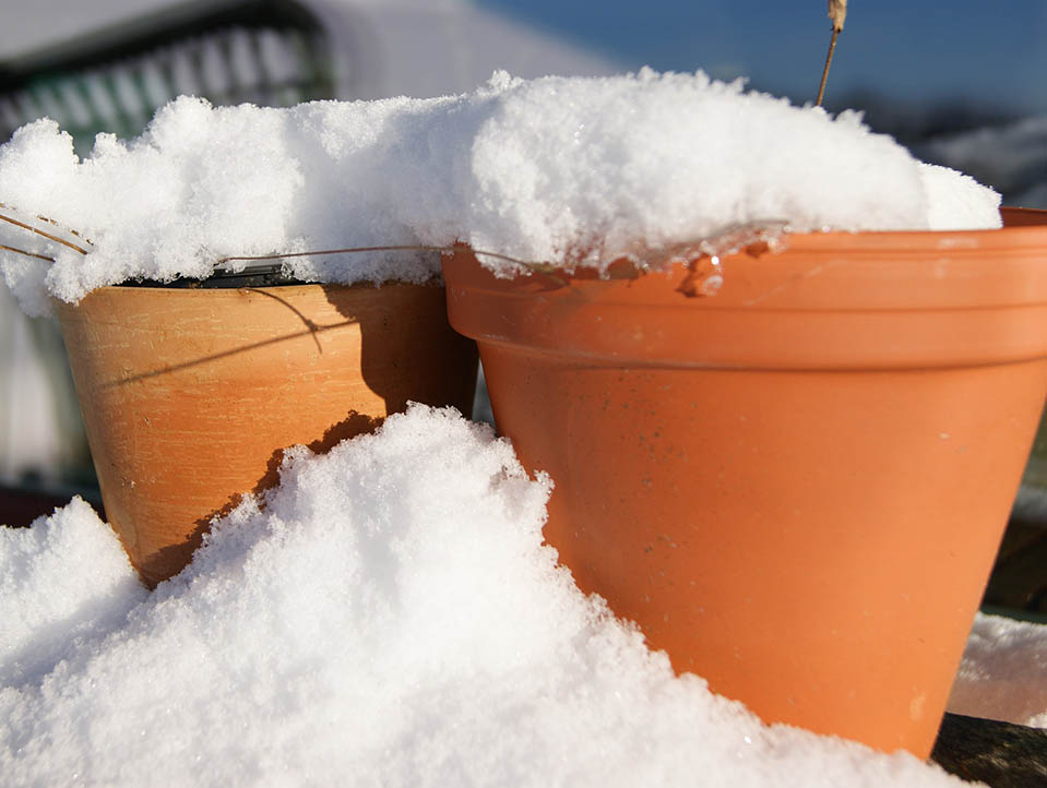 Blumenkübel mit Schnee bedeckt