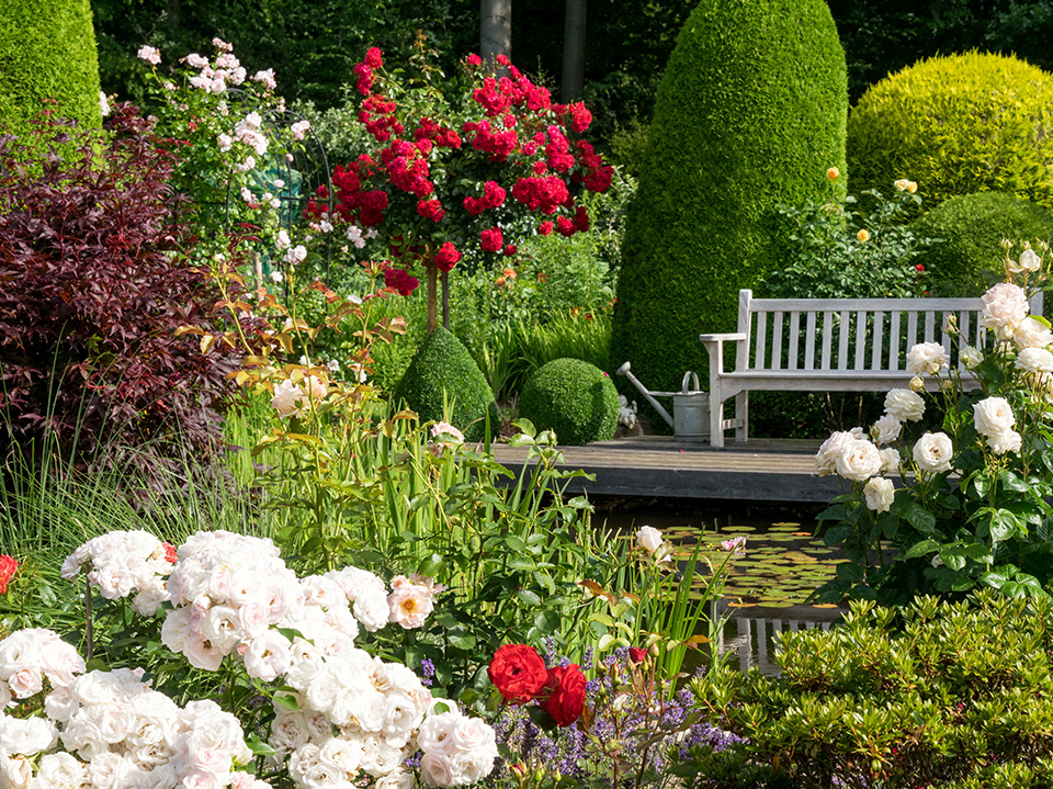 Im August muss der in voller Blüte stehende Garten viel gegossen werden 