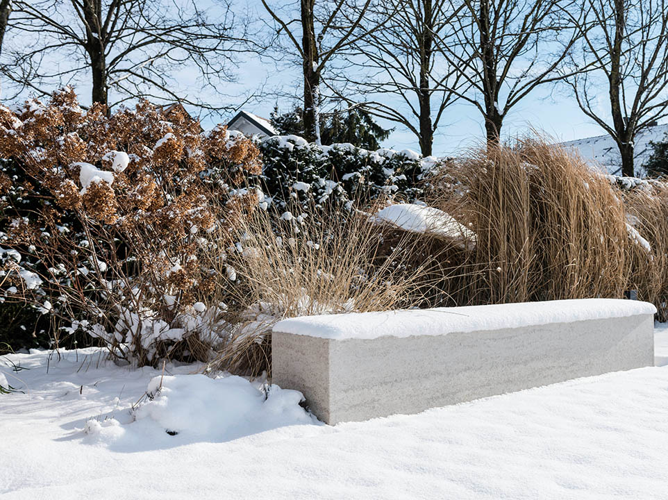 Sträucher sind mit Schnee bedeckt. Dieser sollte im Februar entfernt werden