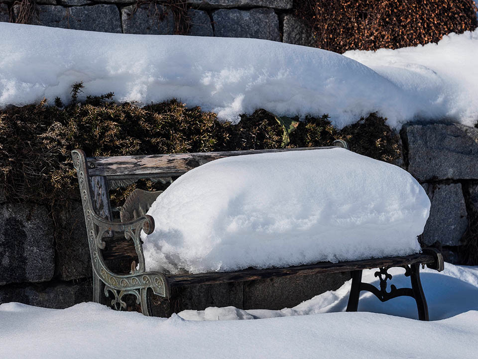Bank liegt unter Schnee, jetzt beginnt die Gartenarbeit im Januar