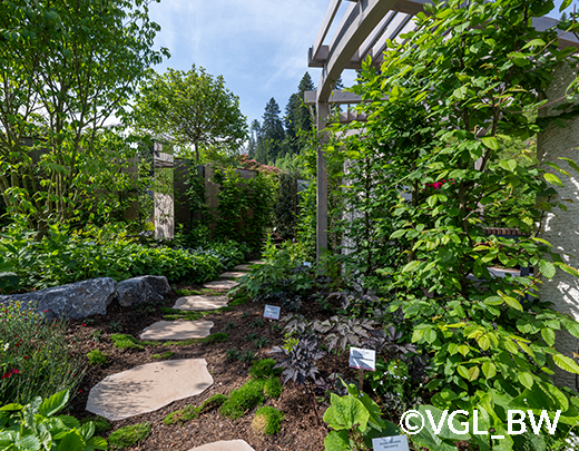 Gemütlicher Gartenweg umgeben von Stauden und Sträucher