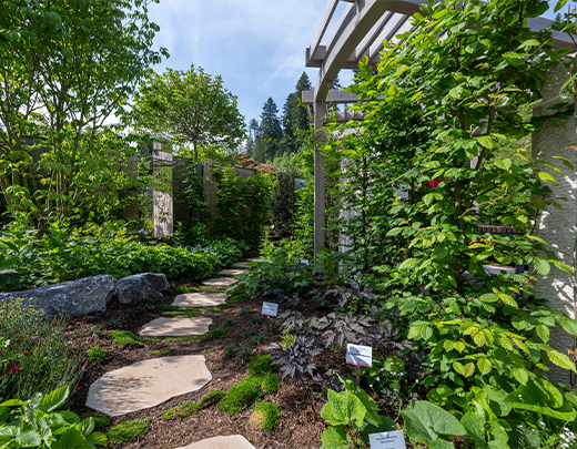 Gemütlicher Gartenweg umgeben von Stauden und Sträucher