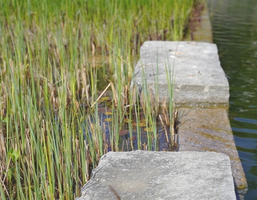 Gartenteich mit Wasserpflanzen und Naturstein