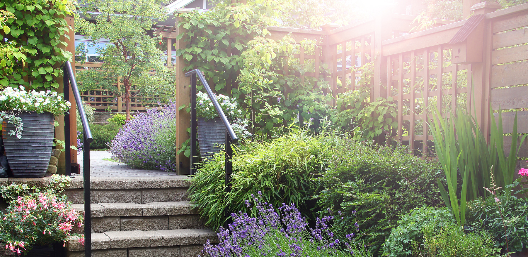 Begründer Garten, mit bunten Stauden als Akzente und einer Natursteintreppe