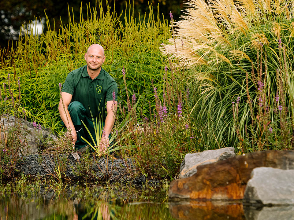 Landschaftsgärtner arbeitet am Gartenteich