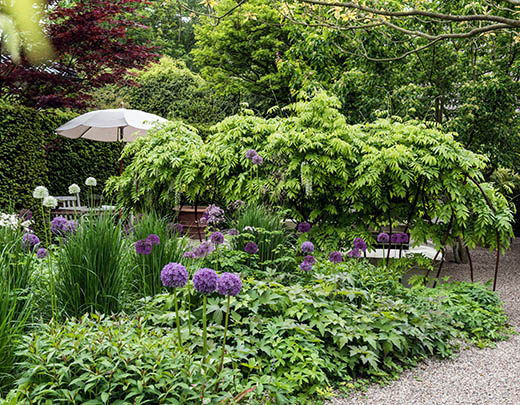 Grüner Garten mit Stauden als Farbakzente