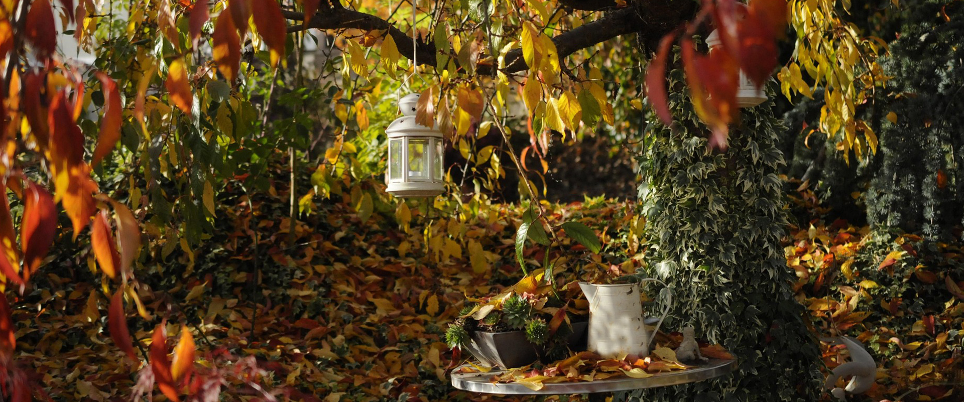 Vielseitige Gartenstile: Naturgarten, mediterraner Garten und viele mehr