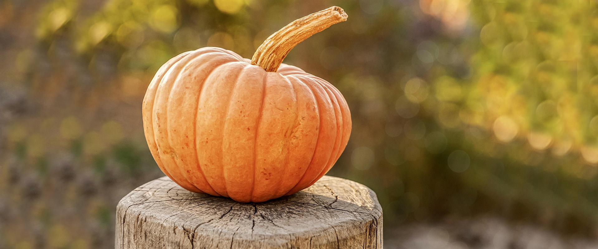 Gestaltung eines Gartens kann man gut im Herbst planen